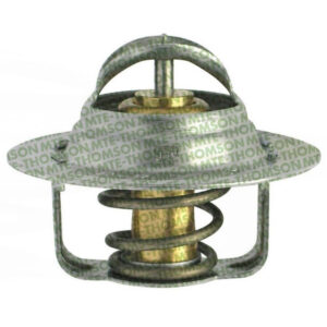 Termostato Mte-Thomson MTE-VT29487 - Imagen 1