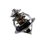 Termostato Mobis TER-0006