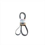 Correa Korea COR-0065